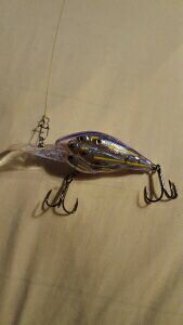 YEARLING BAITBALL CRANKBAIT SIZE 2 3/8 -1/2 OZ.