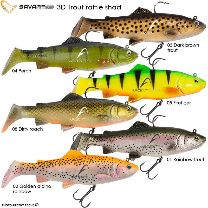 3DTROUT