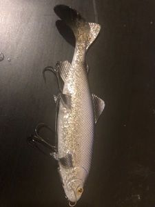 FOX RAGE - REPLICANT TROUT - SILVER - 18CM