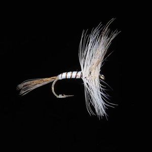 MOUCHE DE MAI JMC BLANCHE MOUCHE DE MAI JMC BLANCHE