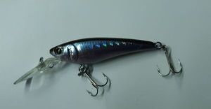 SC SHINER SP 5 CM