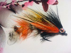 ARTICULER SHAD FLY