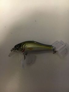 LEURRES DUR 4,5 CM LEURRES DUR 4,5 CM