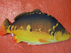 Species Card of 