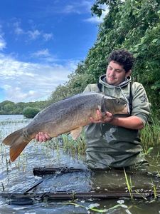 Mirror Carp — Evan Manceau