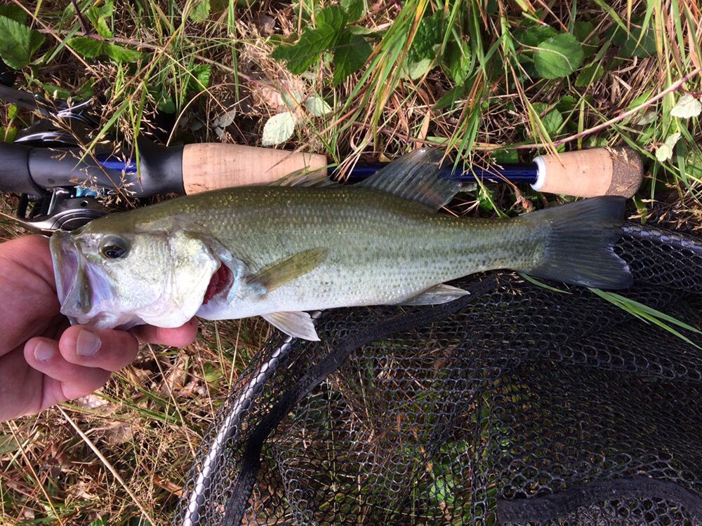 CHATTERBAIT BOOYAH MELEE - 14G