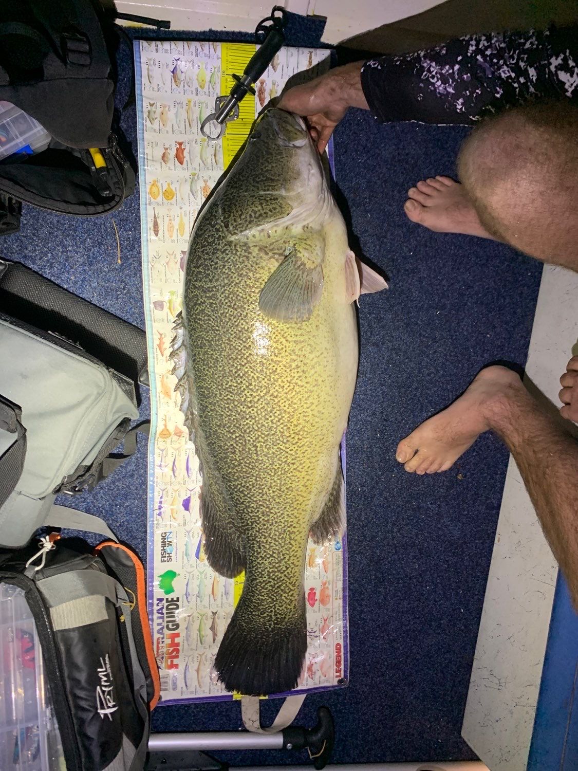 Last Murray Cod caught