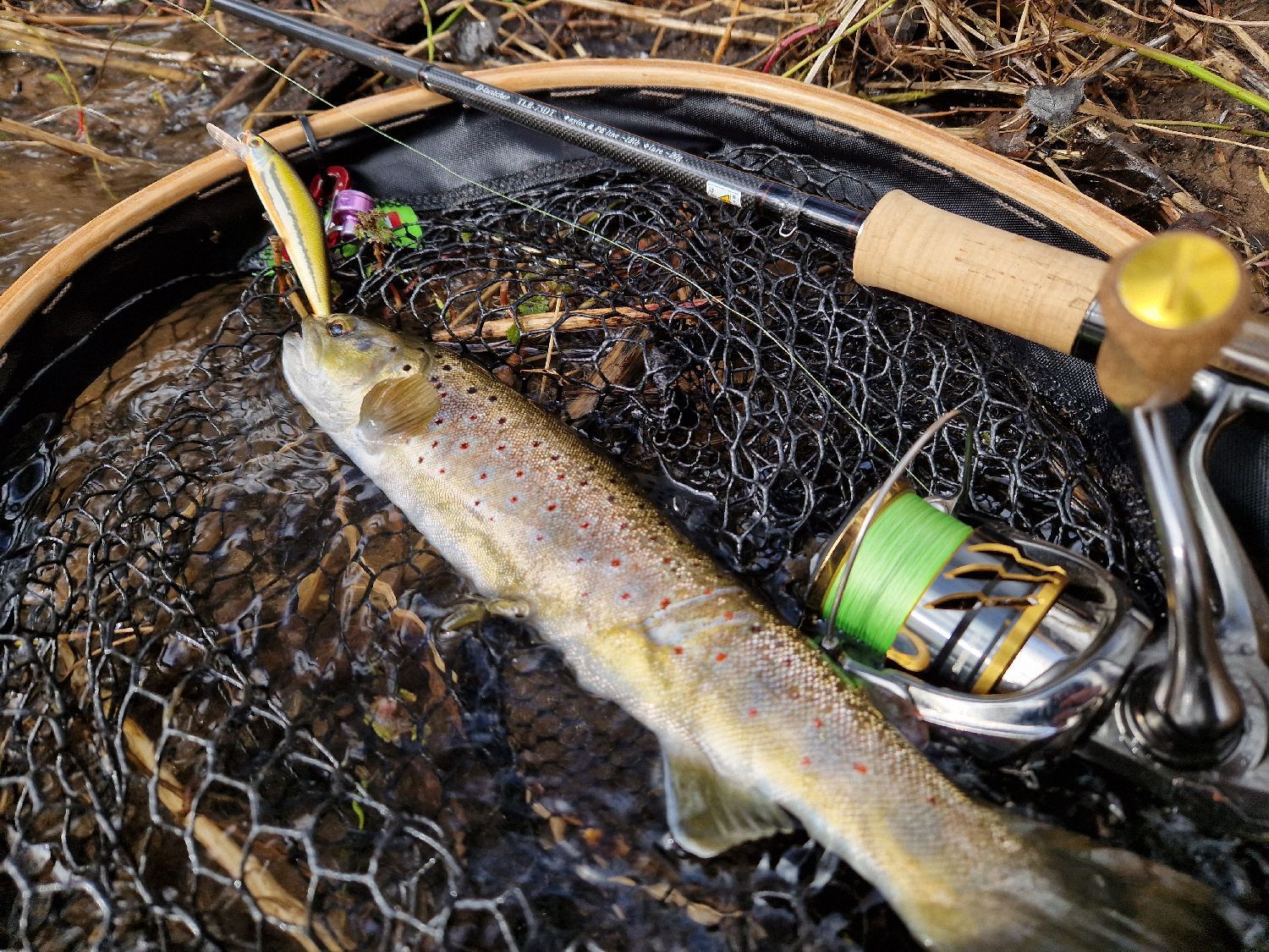 Smith TROUTIN SPIN LAG LESS BORON TLB73DT | FishFriender