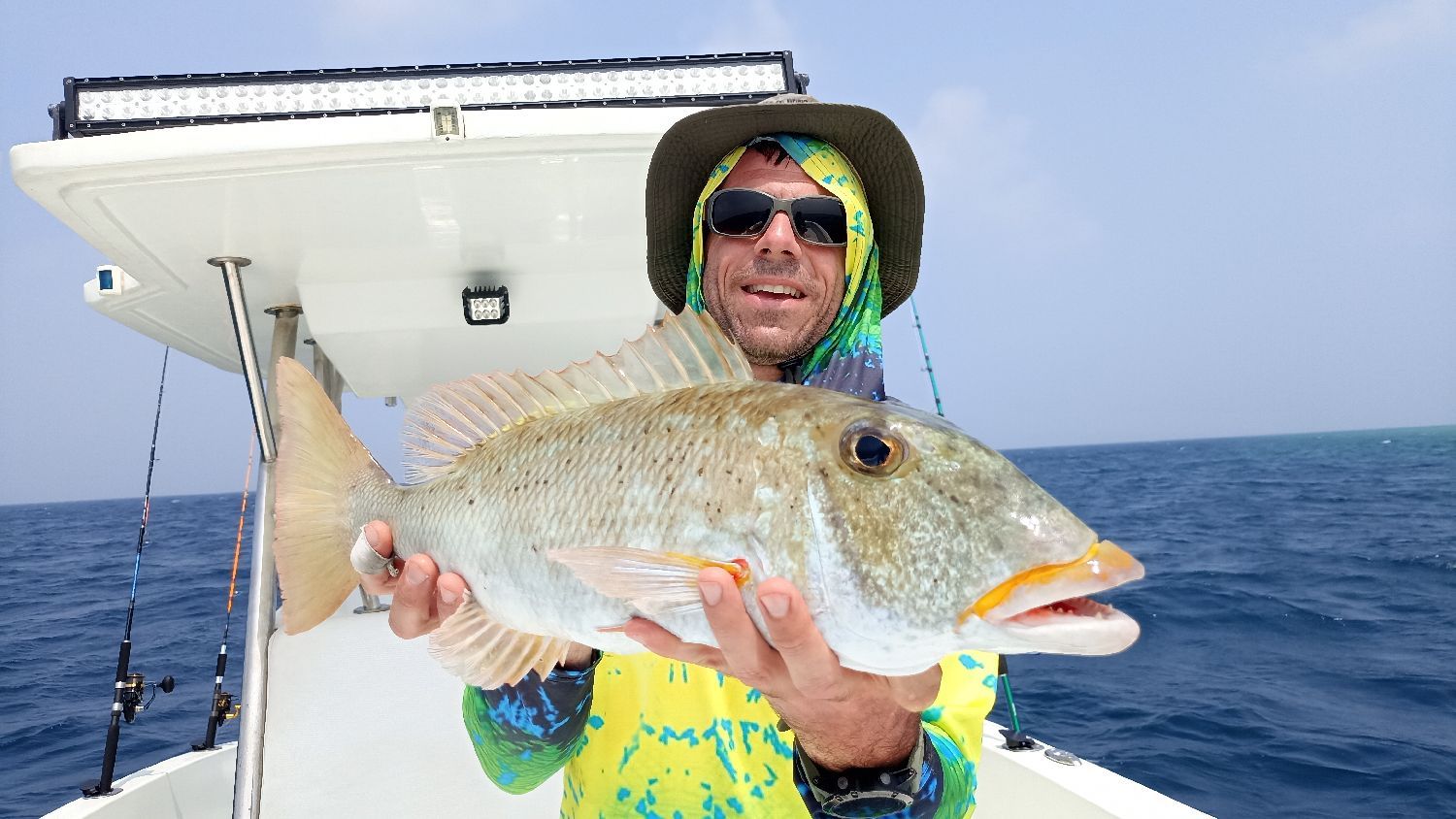 Last Yellowlip Emperor caught