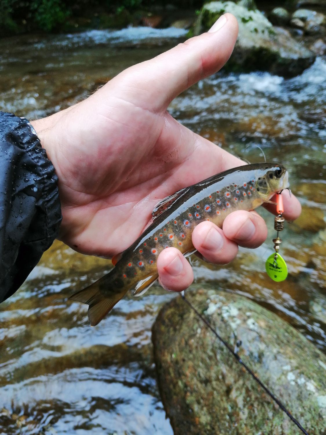 Gants néoprène Fighter - DAM