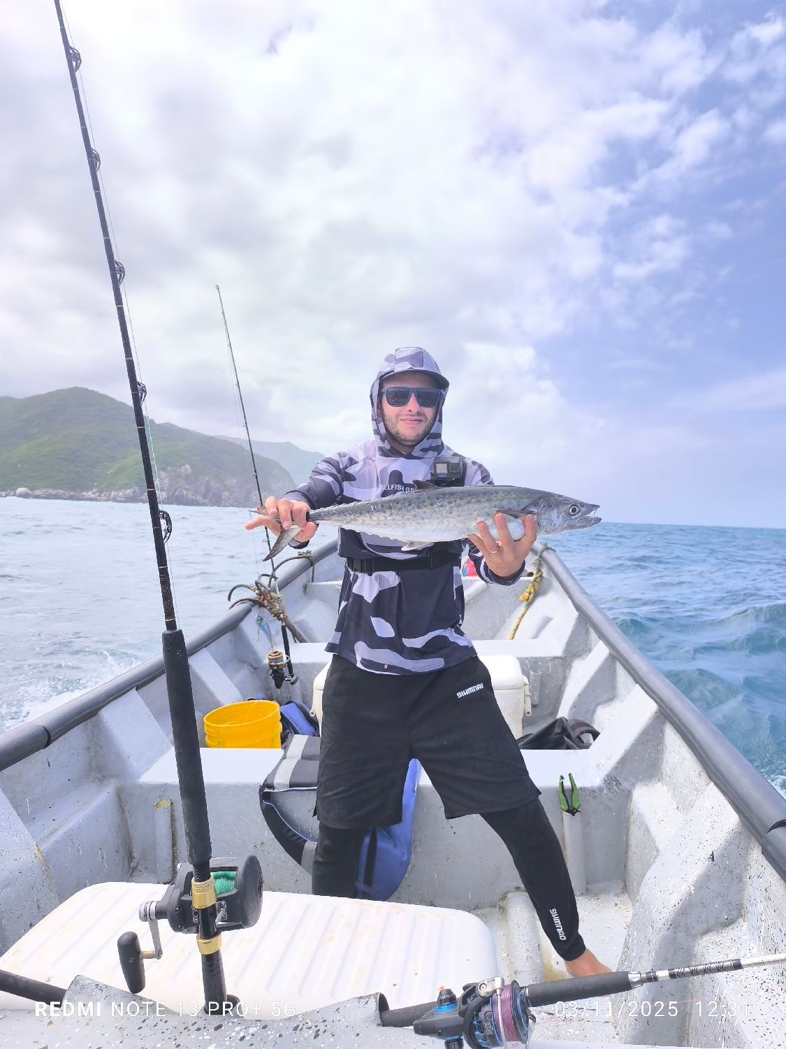 Species Card of Pacific Sierra Mackerel