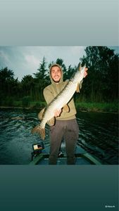 Northern Pike — Coquard Romain