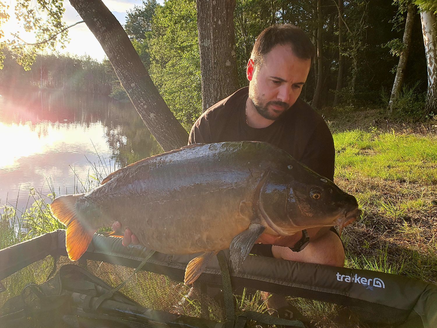 Hameçon carpe nash twister long shank