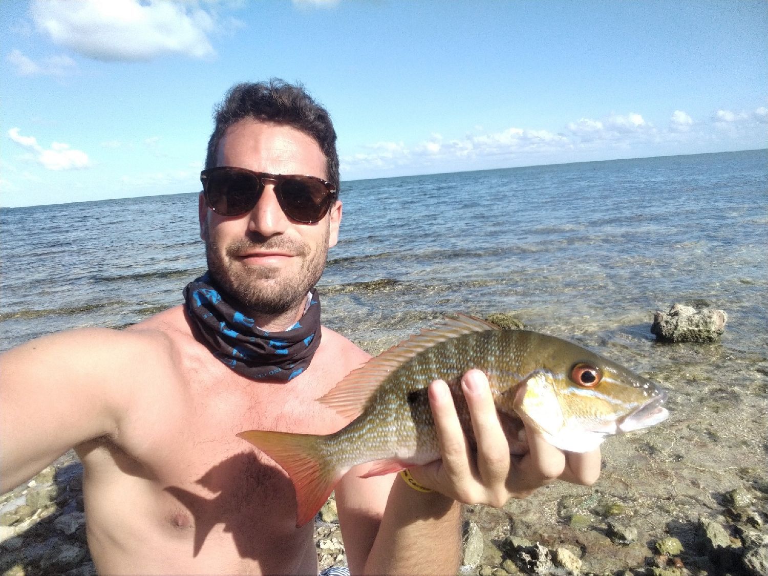 Last Yellow Snapper caught