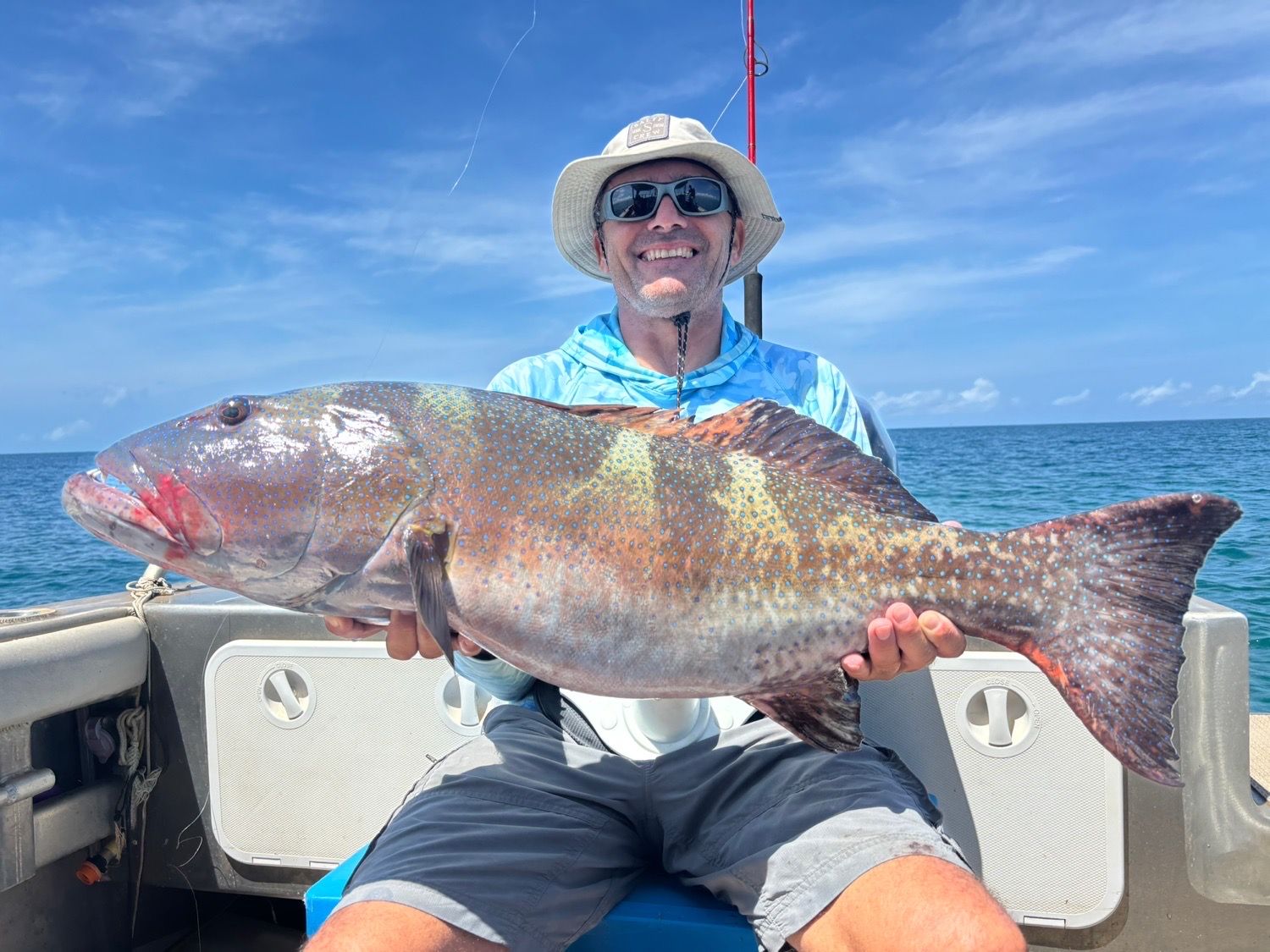 Last Bluespotted seabass caught
