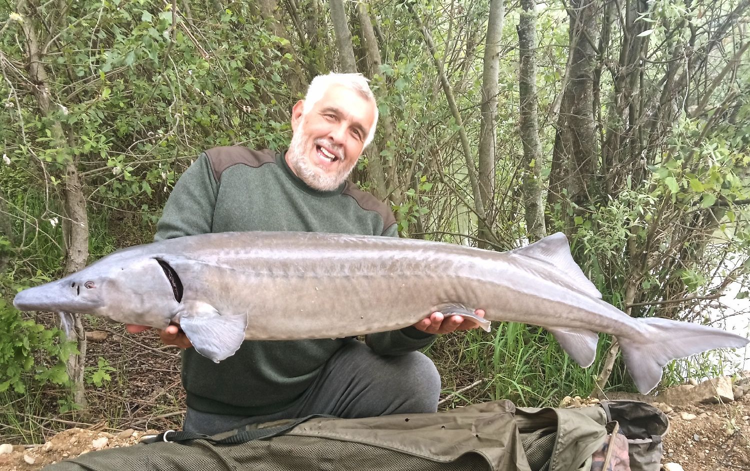 Last Siberian Sturgeon caught