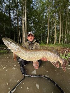 Northern Pike — Antoine Giuliani