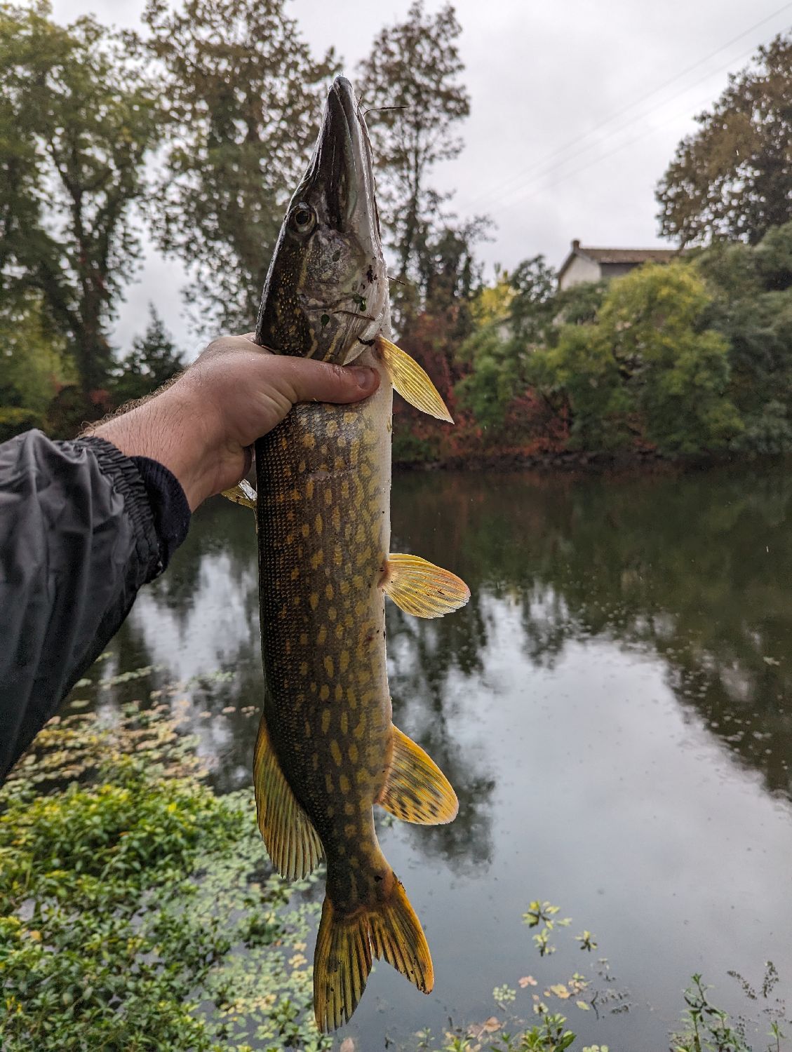 River2Sea WHOPPER PLOPPER 9CM PIKE