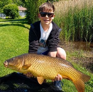 Common Carp — Le Pêcheur