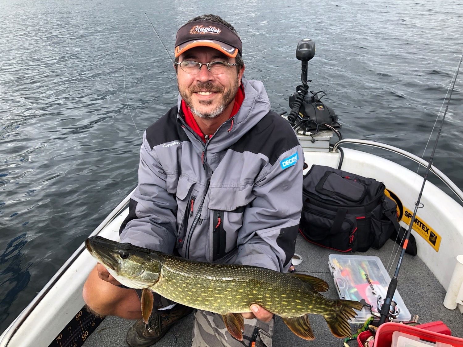 LEURRE SOUPLE SHAD A PALETTES PÊCHE AUX LEURRES ROACHSPIN 150 GARDON