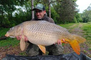 Common Carp — Raymond Simonot