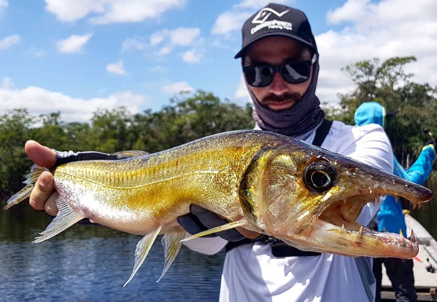 Last Needle Jaw caught