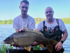 Common Carp — Ludovic Boulay