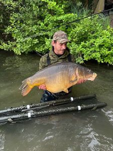 Mirror Carp — Romain Bailly
