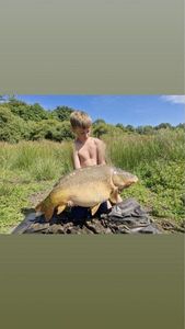 Mirror Carp — Kevin Piau