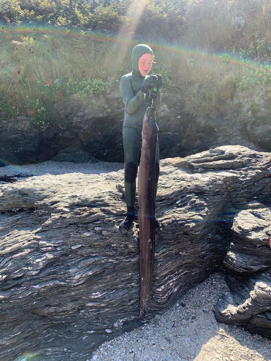 Last Conger caught