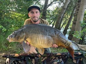 Mirror Carp — Yvon Pechin