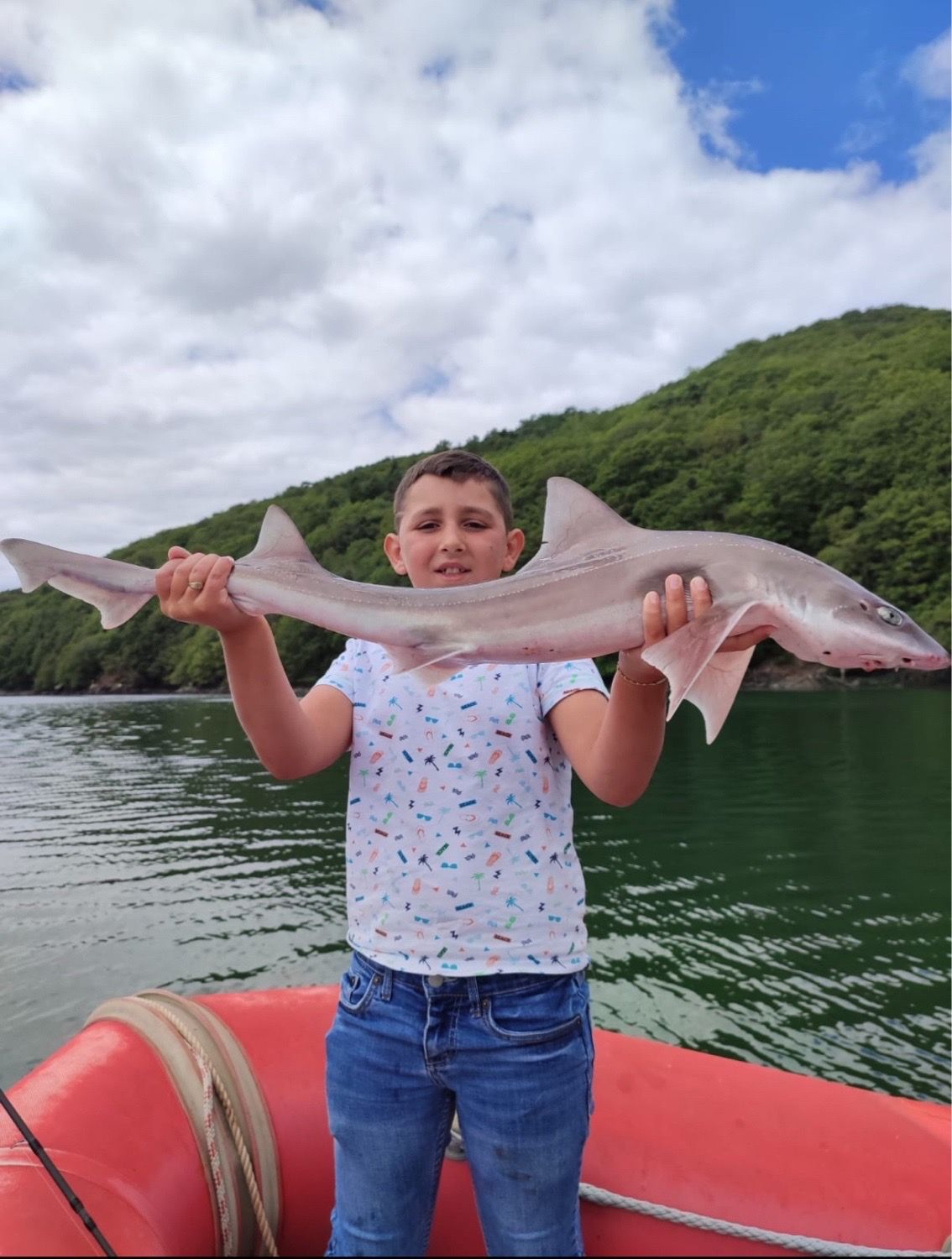 Best gear to fish Tope Shark