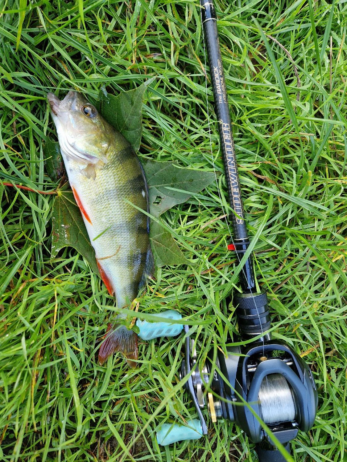 Deps SIDEWINDER THE BARDICK HGC 610MLXF | FishFriender