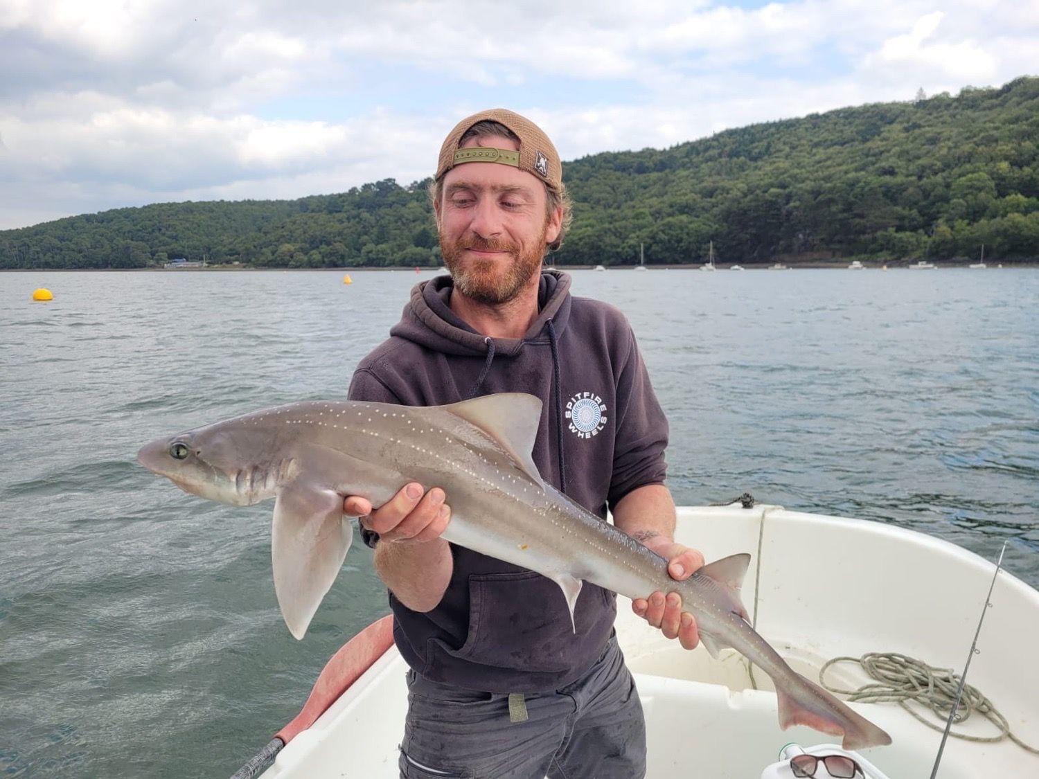 Best gear to fish Starry Smooth-Hound, (Mustelus Asterias)