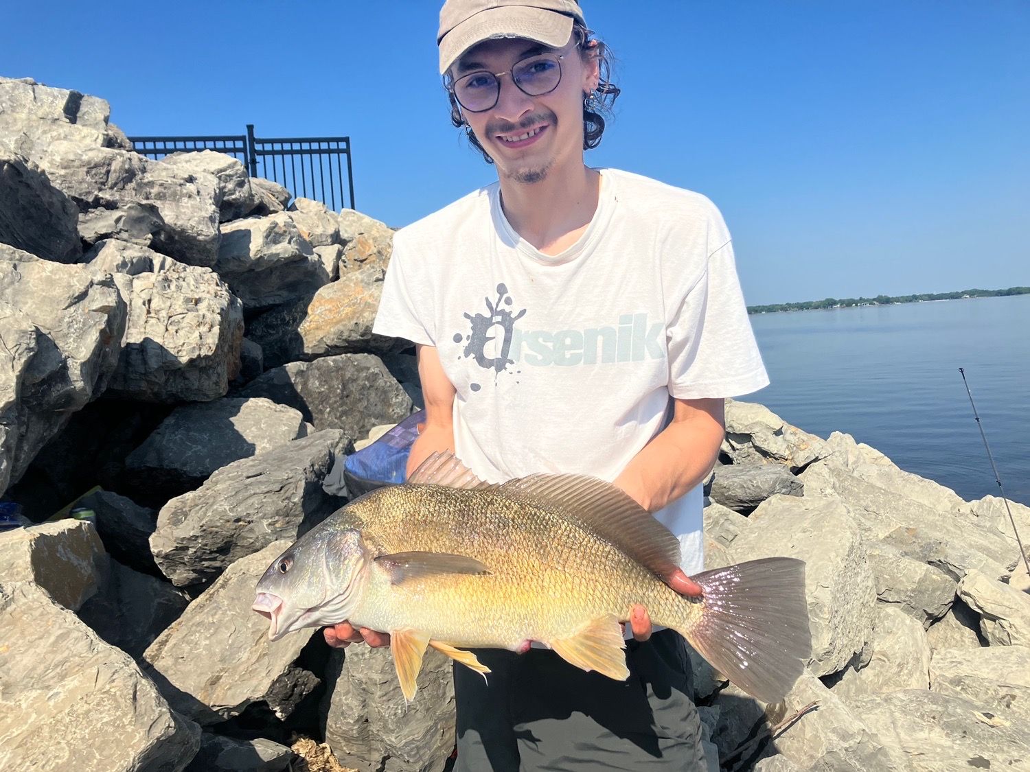 Species Card of Freshwater Drum