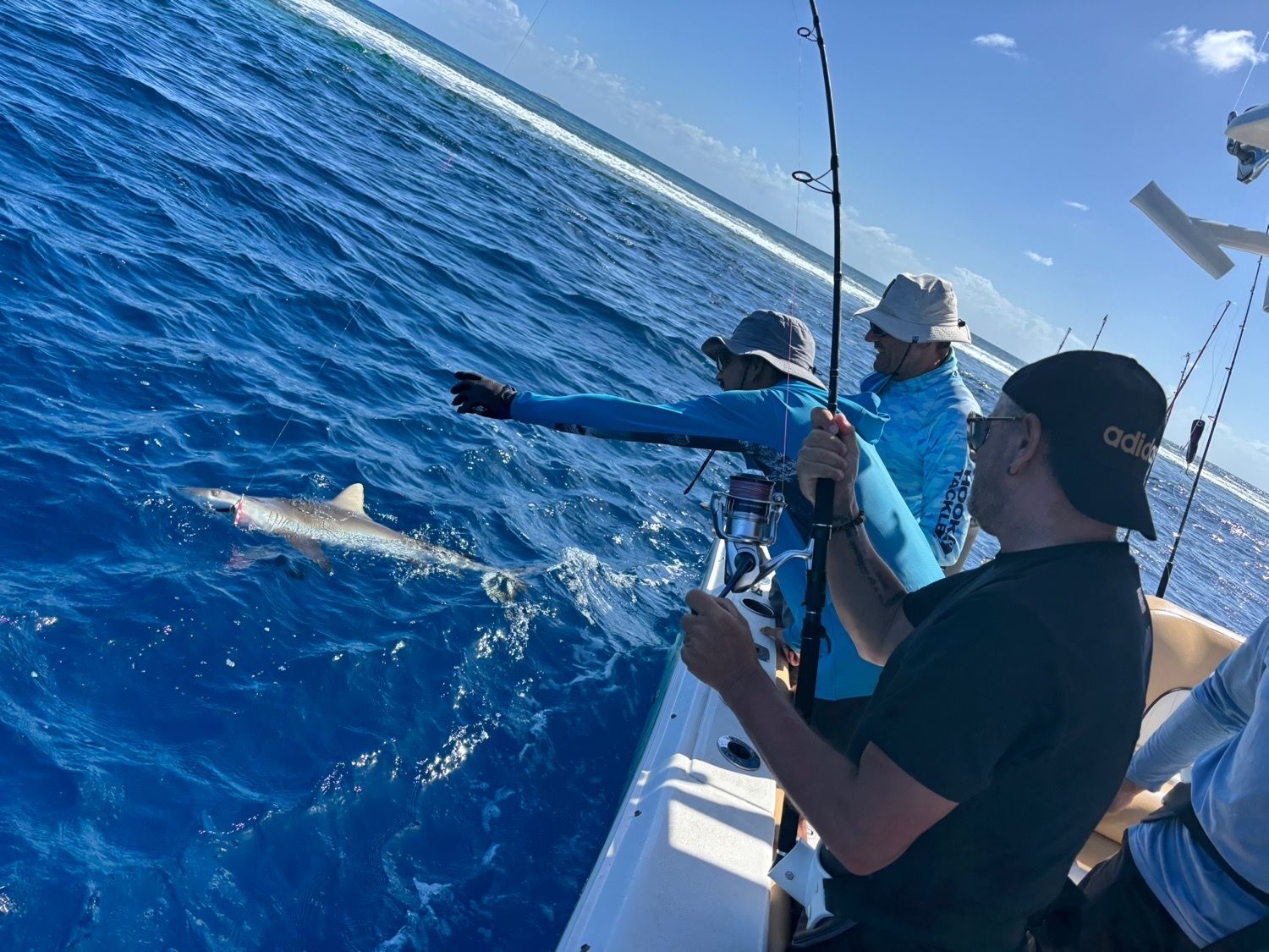 Last Copper Shark (Bronze Whaler) caught