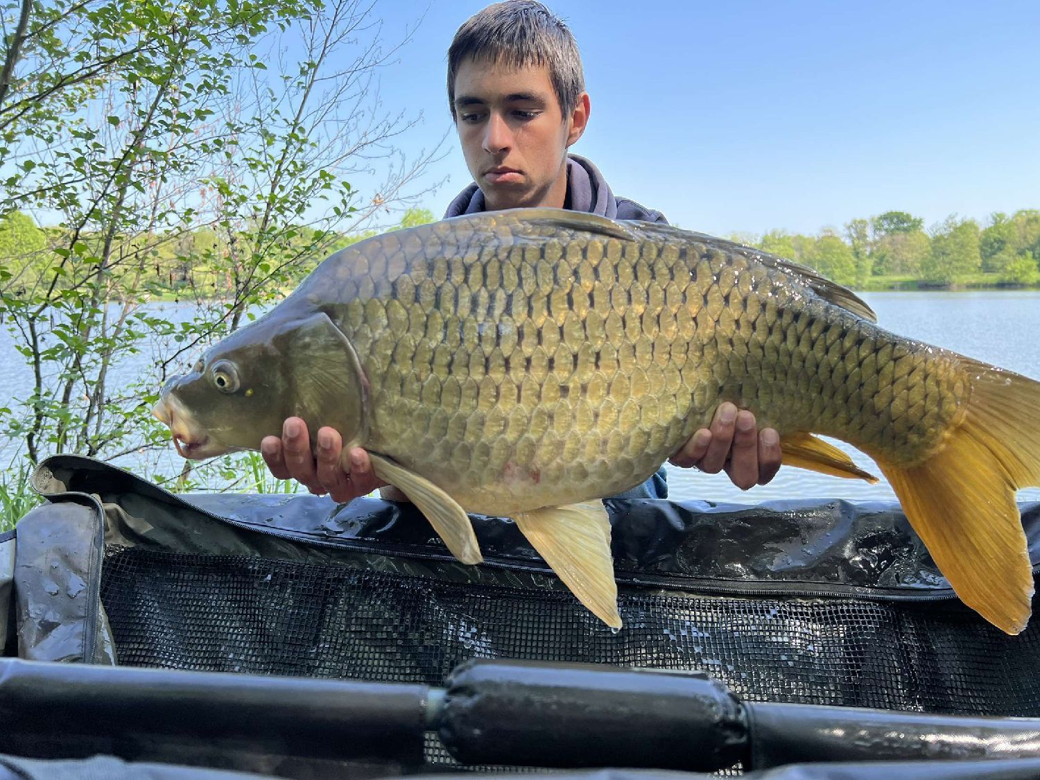 Indicateur visuel Swinger 500 Pêche de la carpe CAPERLAN