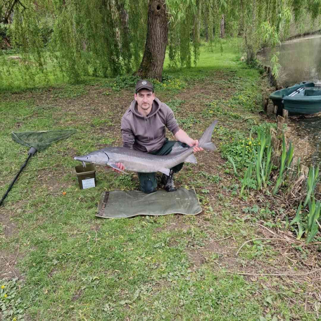 Last Dabry's Sturgeon caught