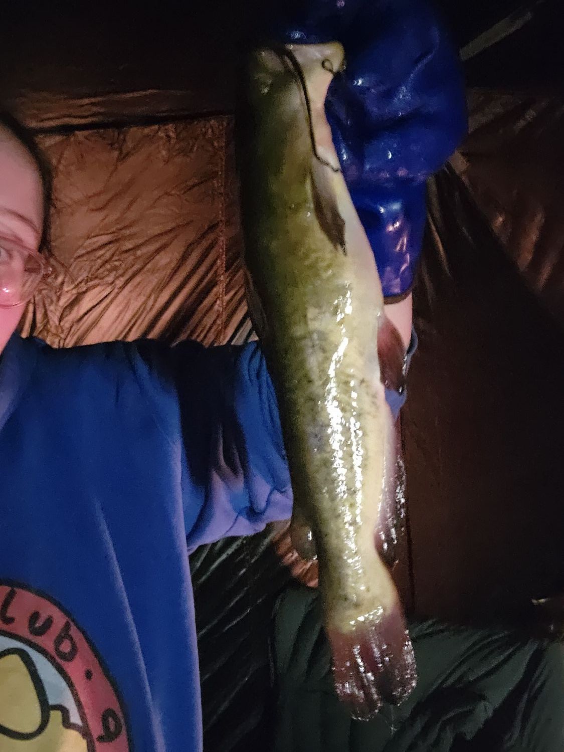 Last Brown Bullhead caught