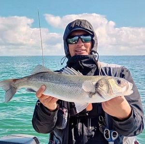 European Bass (Seabass) — Pecheur Vendéen