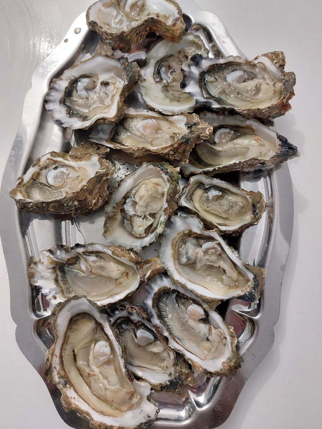 Last Pacific Oyster caught