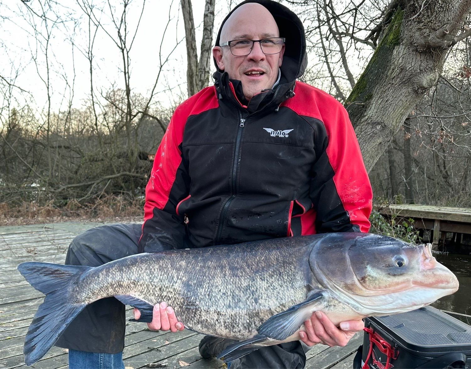 Asian Carp Bait