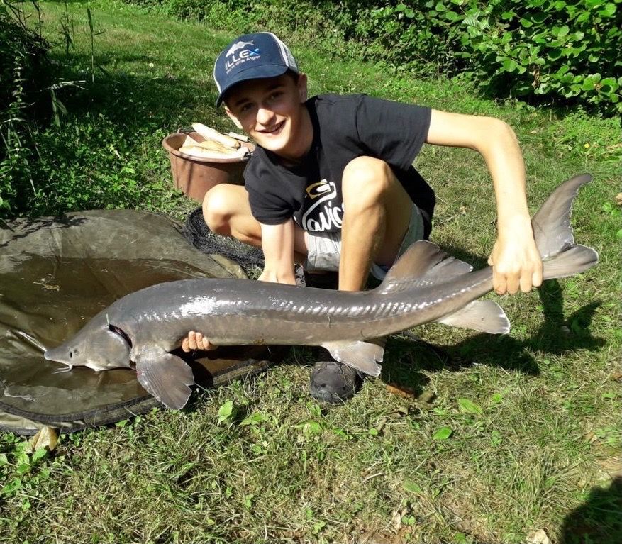 Last Dabry's Sturgeon caught | (Acipenser Dabryanus) | FishFriender
