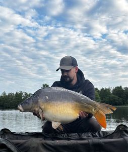 Mirror Carp — Nico Charly 🇧🇪