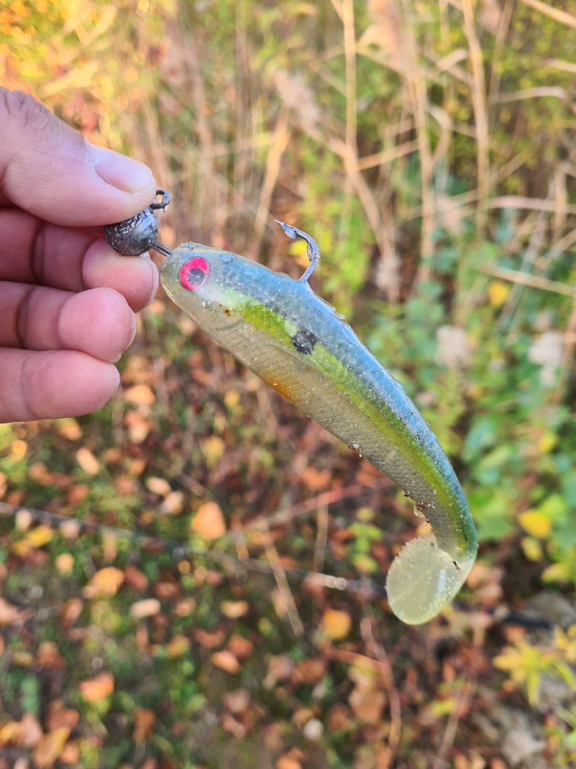 Strike King SHADALICIOUS SWIMBAIT 11.5CM GREEN GIZZARD SHAD