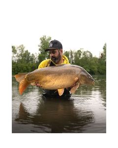 Mirror Carp — Gaetan Manzinalli