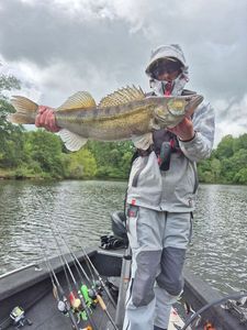 Zander — Fish Hunteur