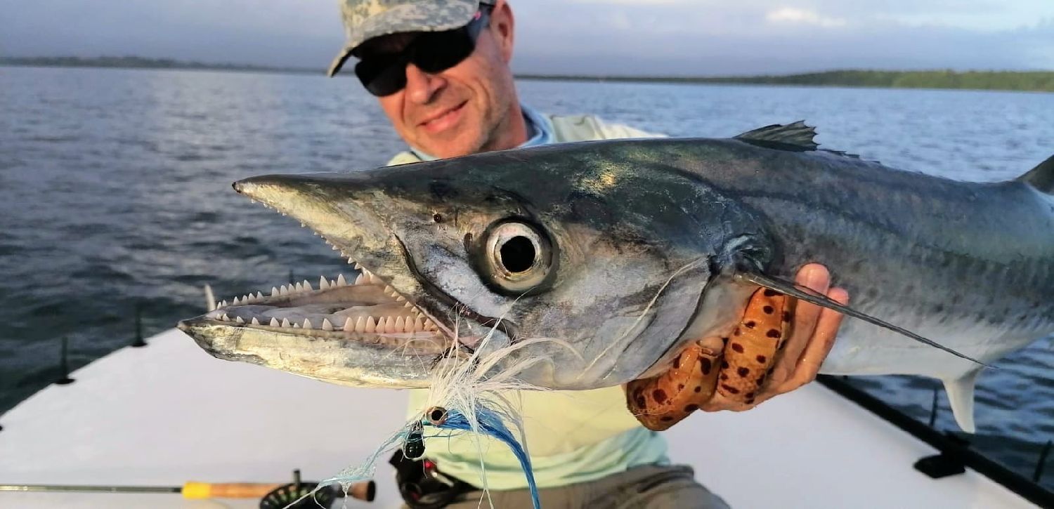 Thazard plongée chasse pêche sous-marine taille 0,88 centimètres de
