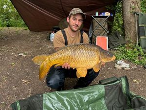 Common Carp — Romain Bailly