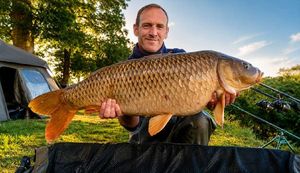 Common Carp — Jérémy Lalande